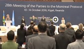 28th Meeting of Parties to the Montreal Protocol, Kigali-Rwanda